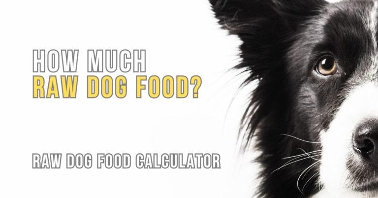 raw-dog-food-calculator-how-much-should-you-feed-your-dog-dogzone