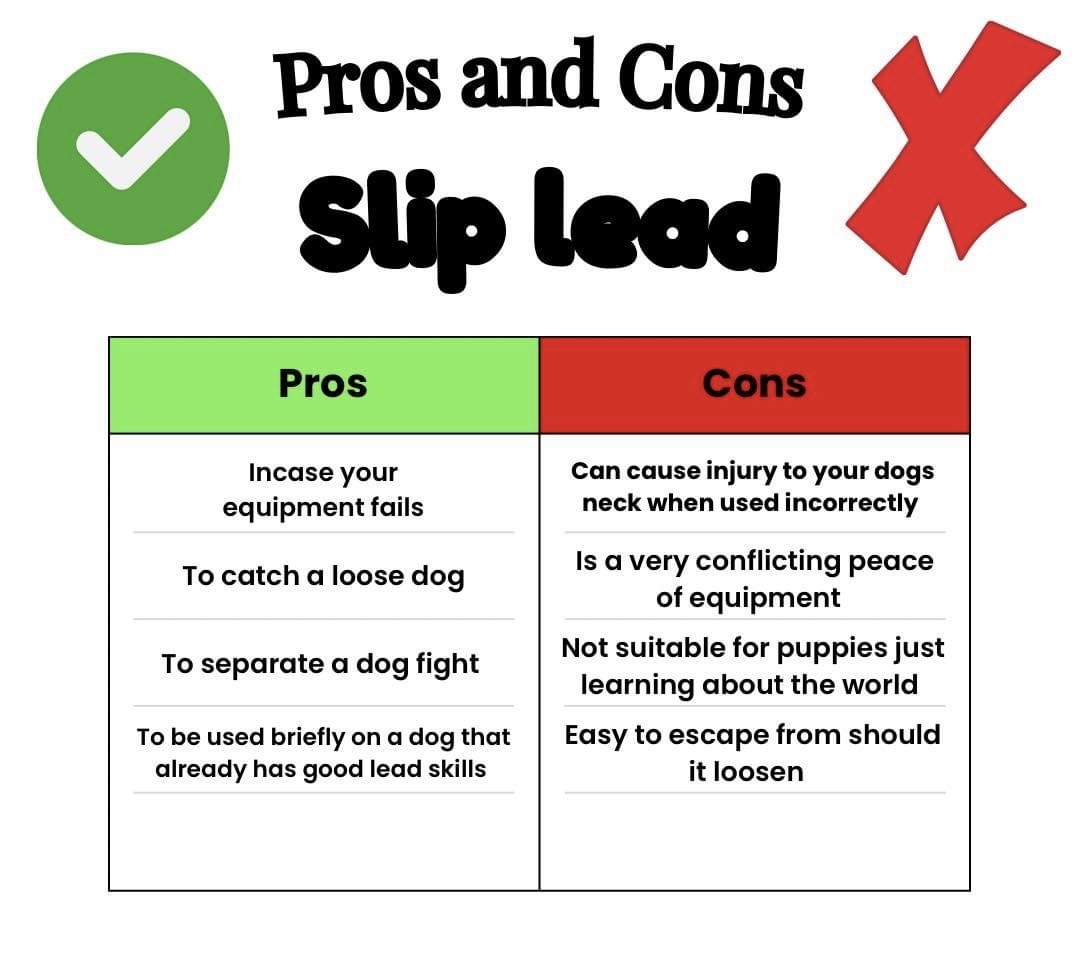 Slip Lead: Pros & Cons